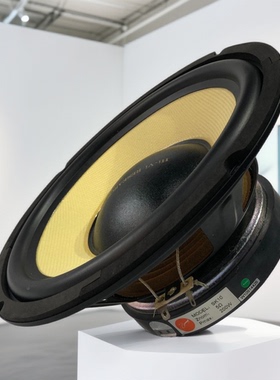 Hivi/惠威 SK10/SK12低音喇叭单元DIY发烧扬声器