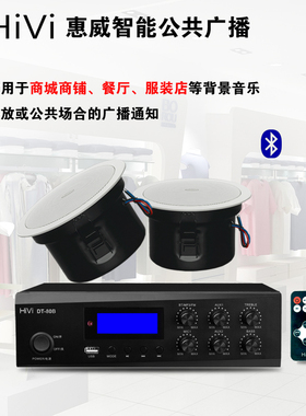Hivi/惠威 TD206A吸顶套装天花喇叭蓝牙迷你小功放USB播放器DT80B