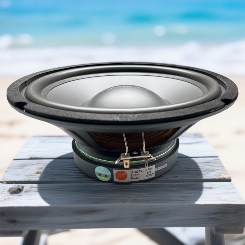 Hivi惠威S10II 10寸发烧中低音喇叭超低音炮扬声器单元HIFI