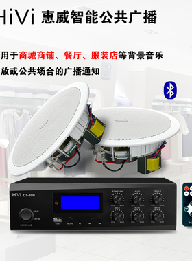 Hivi/惠威 TD201吸顶套装天花喇叭扬声器蓝牙迷你功放DT40B
