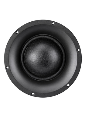 Swan惠威 SMD100NB 丝膜100芯监听级纯中音喇叭/只 直径200毫米