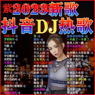 4U盘 2023抖音火爆歌曲DJ优盘热门流行中文DJ榜单无损音乐车载MP3