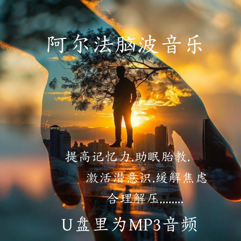 阿尔法脑波音乐u盘开发右脑潜能开发提高记忆力的脑波音乐