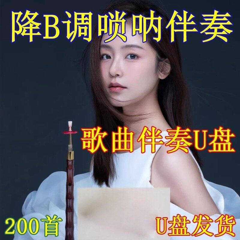 唢呐降B调伴奏音乐MP3伴奏唢呐DJ伴奏歌曲伴奏唢呐歌曲伴奏U盘