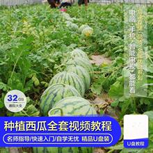 西瓜栽培技术视频教程优盘32g新手种植嫁接无子小型全套教学u盘