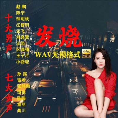 HiF级车载无损u盘WAV发烧