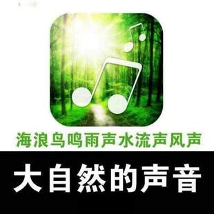 大自然纯音乐U盘白噪音减压疗愈流水声滴水声鸟鸣声乐助眠MP3音频