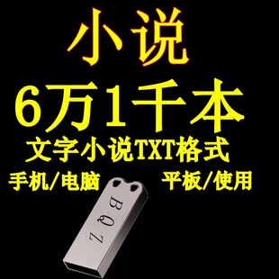 小说64G内存U盘修真玄幻穿越悬疑武侠热门电子版TXT电脑优盘