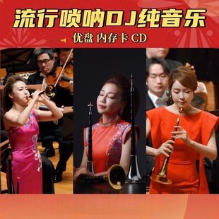车载流行唢呐DJ纯音乐优盘欢快重低音唢呐DJ流行音乐优盘高品质