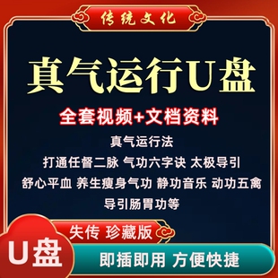 练气功视频教程u盘真气运行法打通任督二脉练气入门气功教学教程