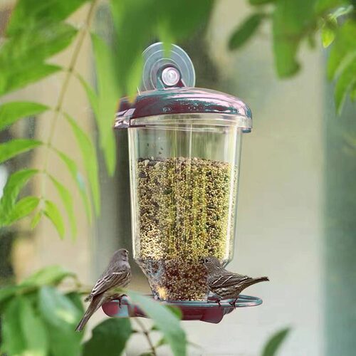 透明塑料悬吊式带盖自动喂鸟器创意吸盘喂食器【亚马逊热卖】