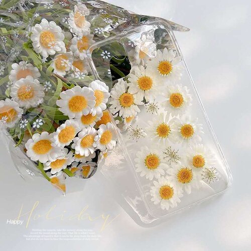小雏菊干花滴胶软壳苹果日韩少女