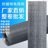 镀锌铁丝网电焊网阳台防护防鼠钢丝网片护栏网玉米网 包邮 厂家直销