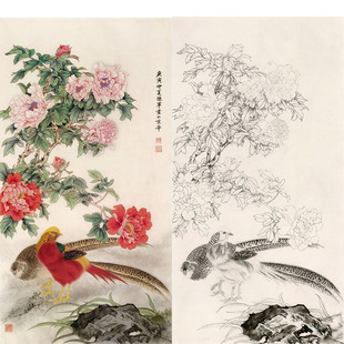 【有步骤】临陈军国画牡丹《锦上添花》鸡工笔画素材花鸟白描底稿