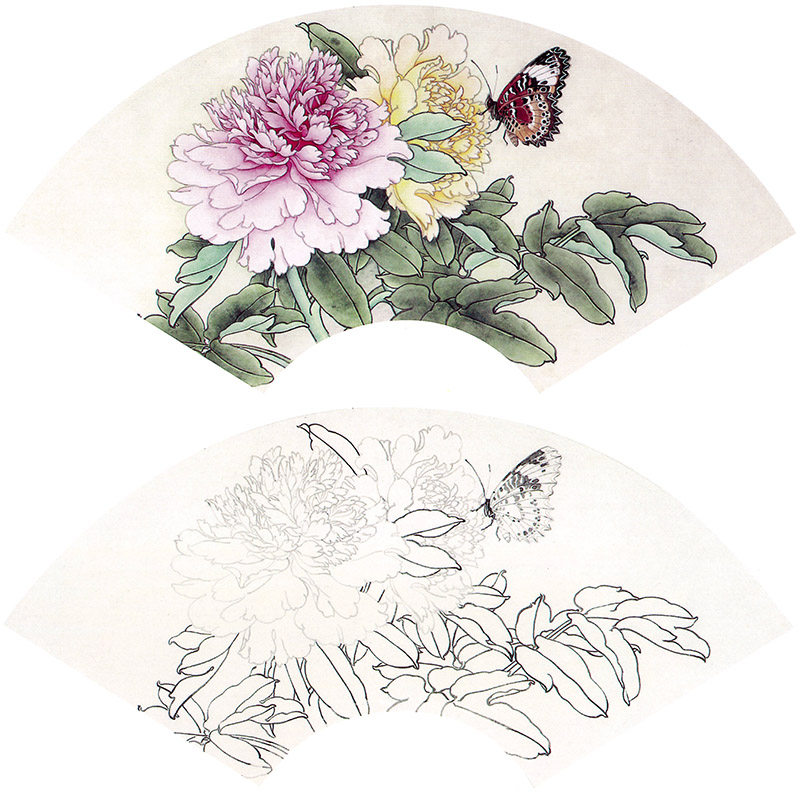 【有步骤】临王永才扇面小品《蝶恋花》鸟牡丹蝴蝶工笔画白描底稿