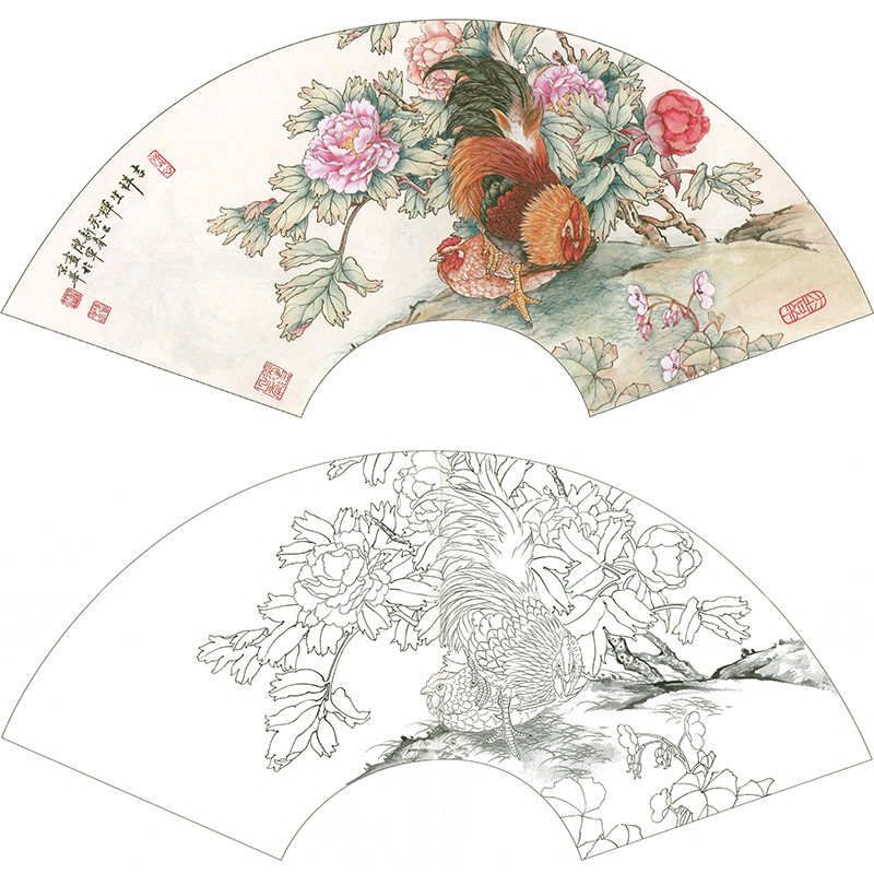 【有步骤】临摹陈军公鸡冠花《吉祥生辉》工笔画扇形小品白描底稿