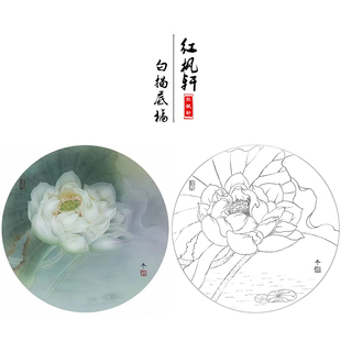 【有步骤】临杨冬冬《雪玉》白荷花鸟国画工笔画白描底稿线描底稿