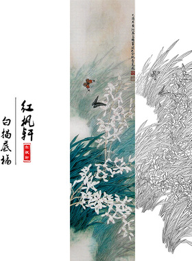 国画花鸟白描底稿四条牡丹