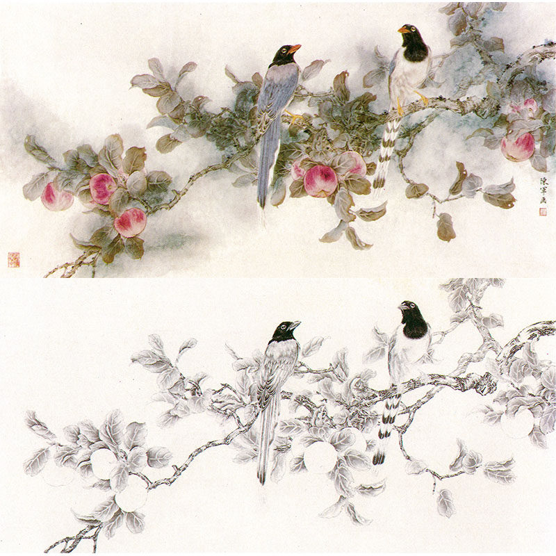 【有步骤】工笔画白描底稿陈军《苹果红嘴蓝鹊》国画花鸟高清素材