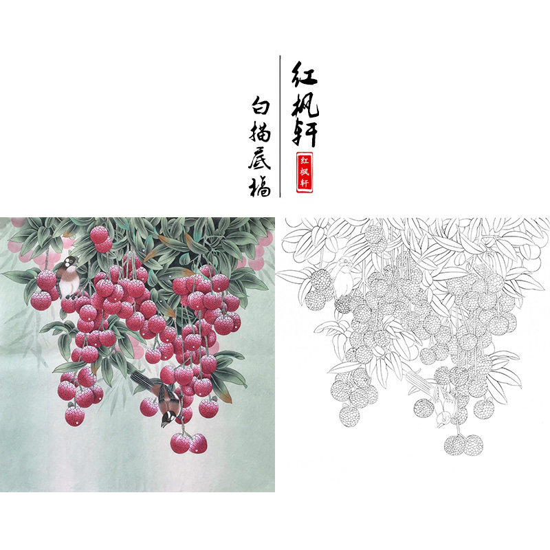 花鸟国画白描底稿荔枝小鸟打印线描素材工笔画初学练习作业临摹稿