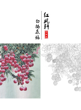 国画白描底稿工笔画荔枝花鸟画