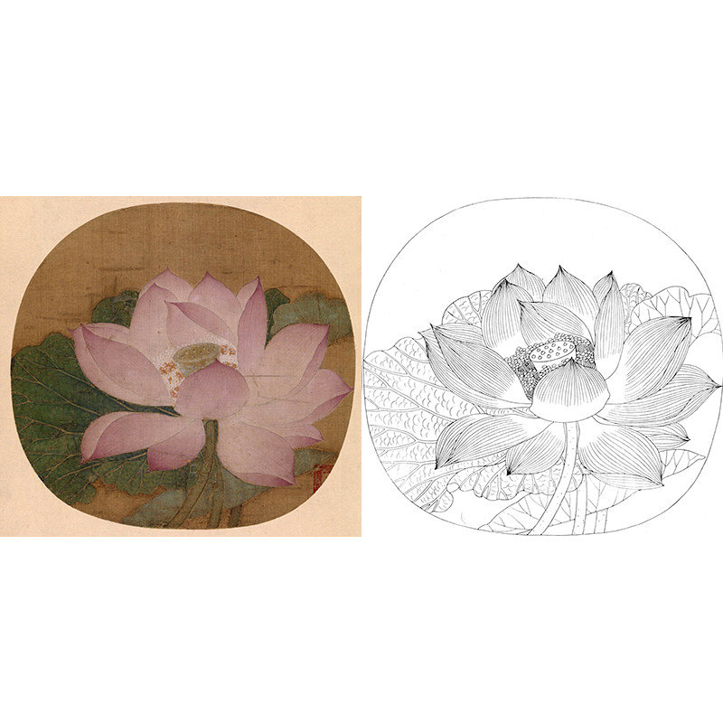 工笔画白描底稿临摹南宋吴炳国画荷花《出水芙蓉图》初学者练习稿
