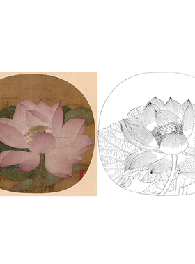 有步骤花鸟工笔画白描底稿