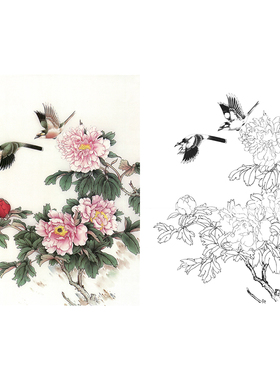 【有步骤】打印国画工笔画牡丹花鸟白描底稿临张秋怡《富贵白头》