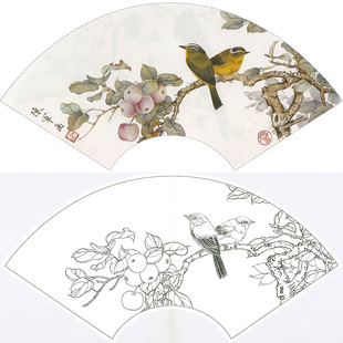 临陈军工笔画白描底稿扇面花鸟小品《珍果香浓》沙果黄莺鸟国画稿