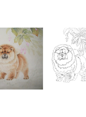 工笔画白描底稿牡丹花斗方