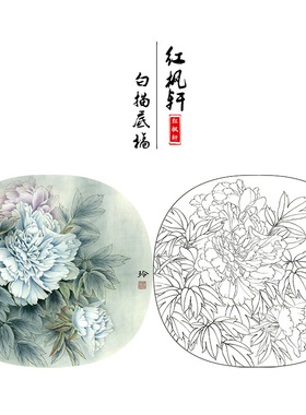 有步骤花鸟工笔画白描底稿