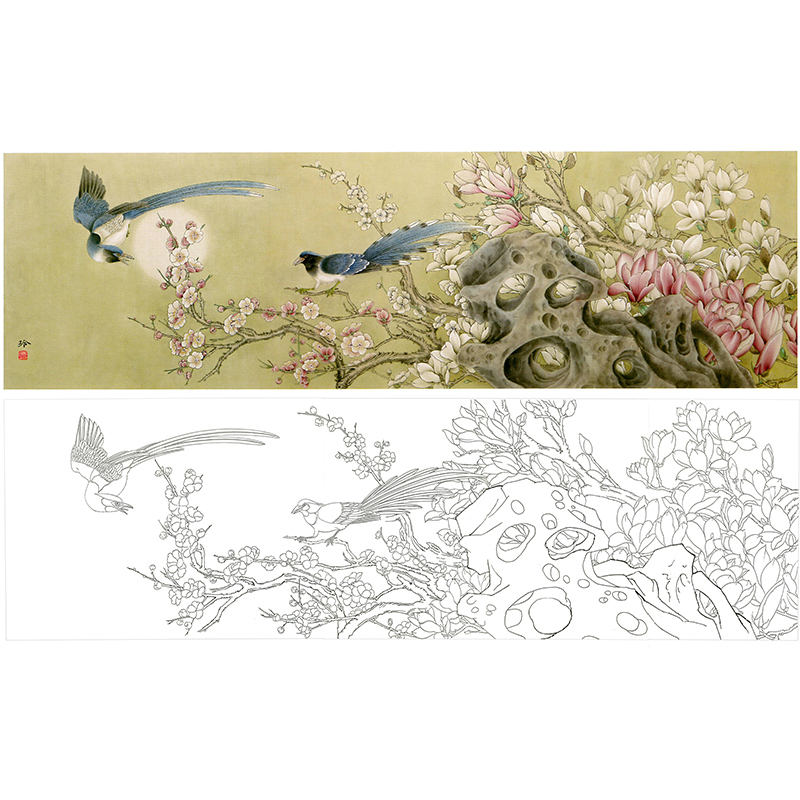 【有步骤】郑玲玲梅花云兰横幅吉祥花鸟初学临摹国画工笔白描底稿