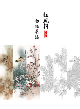国画花鸟白描底稿四条牡丹