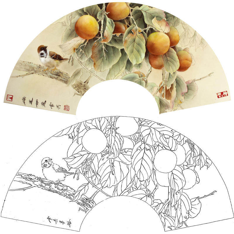 【有步骤】临龚雪青瑞果吉雀柿子扇面《确是如意》工笔画白描底稿