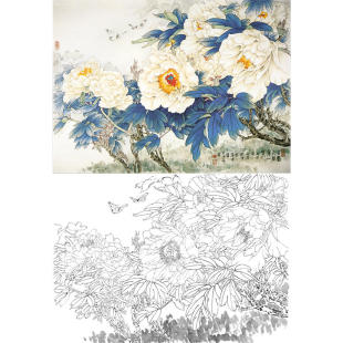 国画工笔画白描底稿王少卿花鸟牡丹《占尽人间第一春》打印临摹稿
