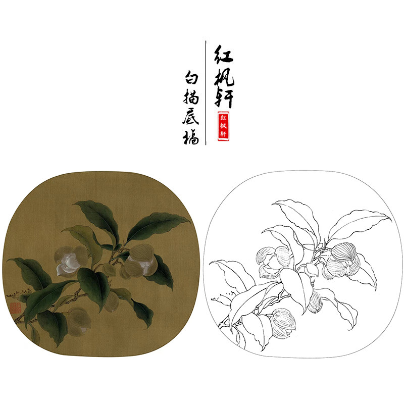 工笔画白描底稿宋佚名《夜合花图》鸟国画小品学习临摹线描练习稿