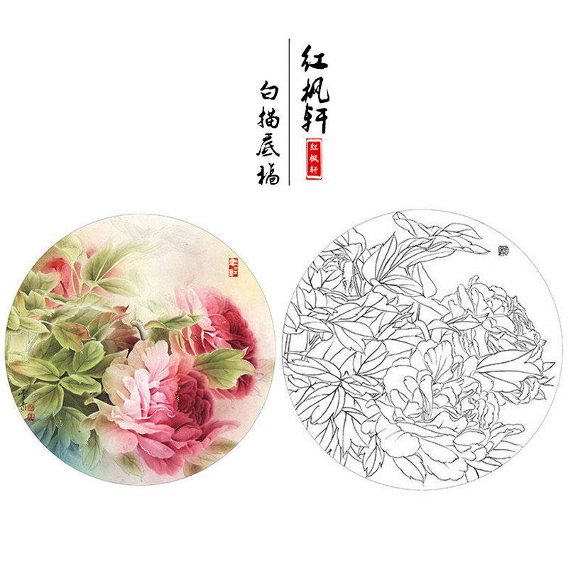 【有步骤】龚雪青工笔画白描底稿国画小品牡丹团扇《晨曦》线描稿