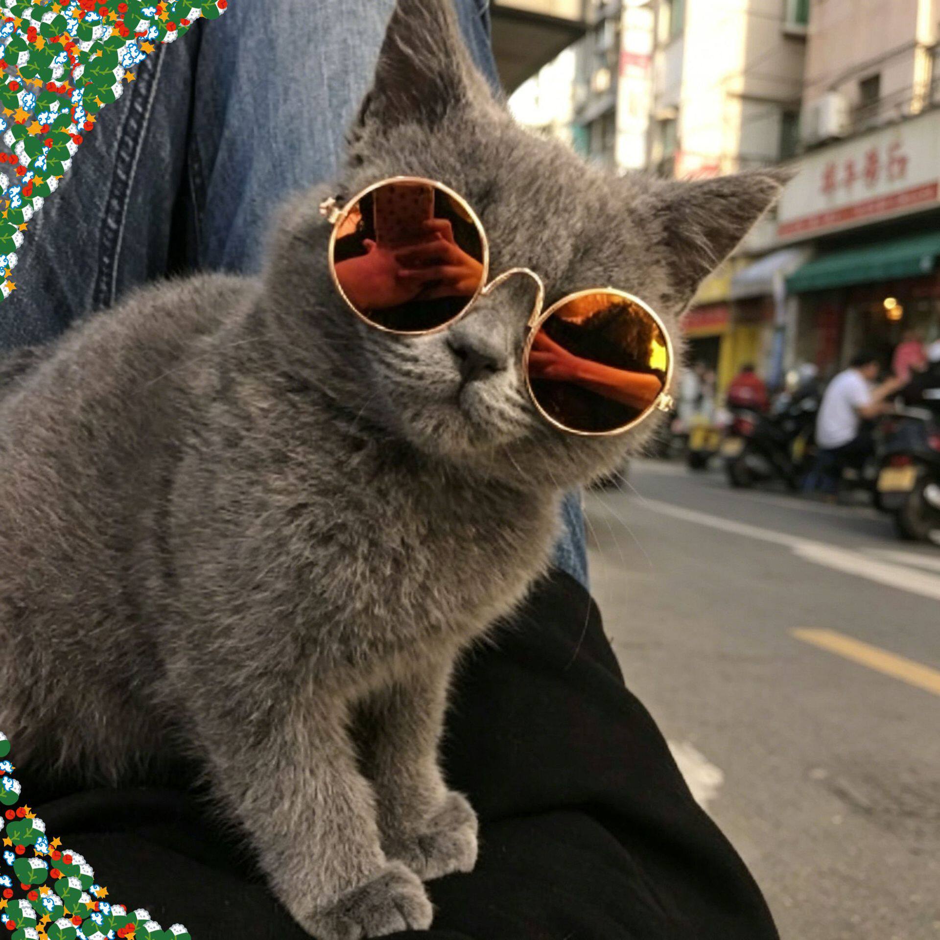 狗狗猫咪宠物眼镜拍照圆框配饰创意潮流玩具复古太阳镜搞怪墨镜