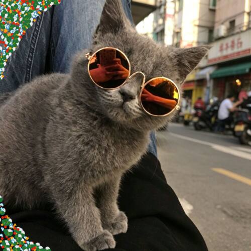 狗狗猫咪宠物眼镜拍照圆框配饰创意潮流玩具复古太阳镜搞怪墨镜