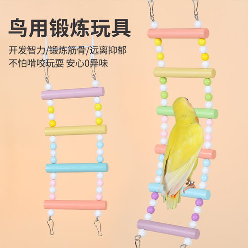 鹦鹉彩色攀爬云梯秋千鸟笼装饰牡丹玄凤虎皮鸟用具用品大全