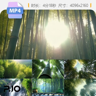 高清竹林古人竹海意境绿色自然禅幽静冥想生态宣传片视频素材