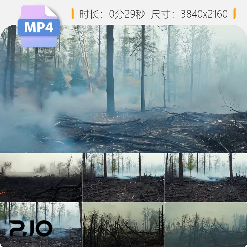 高清大火过后森林灾后焦树焚灭烟雾缭绕余烬废墟荒凉景象视频素材