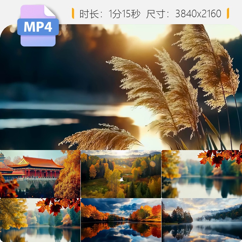 高清金秋枫叶银杏红树林唯美空镜大自然风景航拍生态意境视频素材