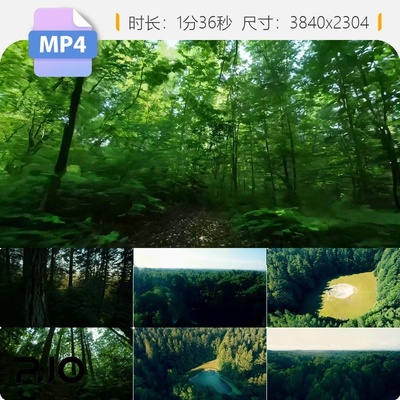 高清航拍森林穿梭穿越机拍摄云南原始绿色树木大自然视频素材