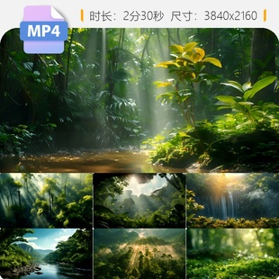 高清热带雨林生态阳光穿透树木蕨类微观丛林户外探险视频素材