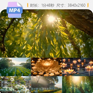 高清清明节公墓扫墓祭拜习俗下雨白菊花青团缅怀逝者柳树视频素材