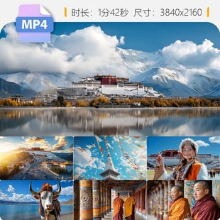 高清布达拉宫西藏萨高原延时航拍大昭寺八廓街朝圣国道31视频素材