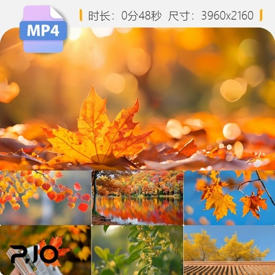 高清立秋唯美风光红枫叶看书林深金色银杏高爽风吹落叶视频素材