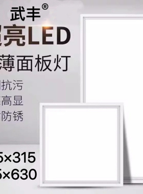 315x315*630莱来斯奥喜临门适用集成吊顶LED照明厨房卫生间平板灯