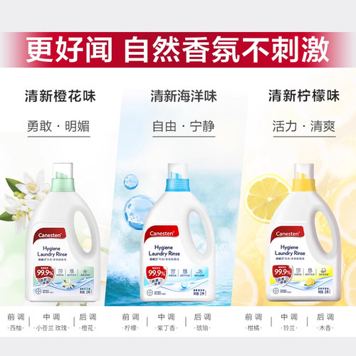 4瓶装拜耳Canesten凯妮汀衣物消毒除菌液洗衣专用内衣裤杀菌婴儿